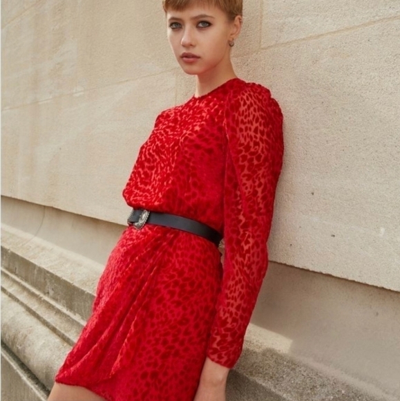 The Kooples Artichoke Burnout Velvet Leopard Red Mini Dress New Size Small - Picture 4 of 17